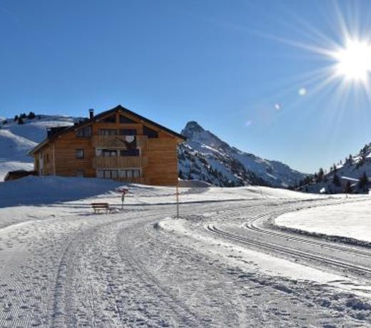 apart-wolf-arlberg