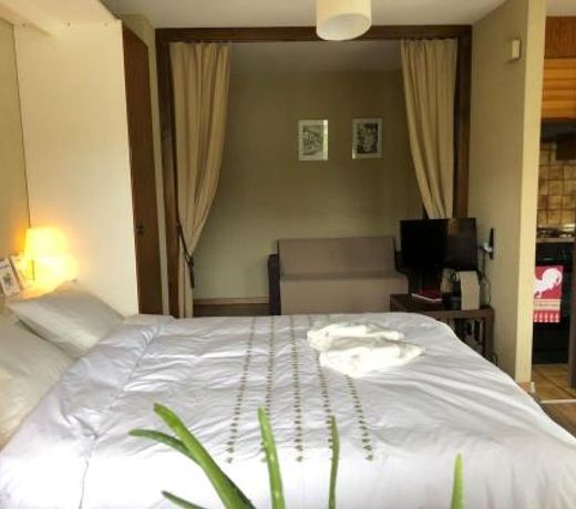 Charmant Studio, 2 adultes , Centre de Nendaz