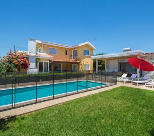 Ayia Napa Villa Danae