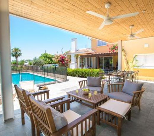 Ayia Napa Villa Danae