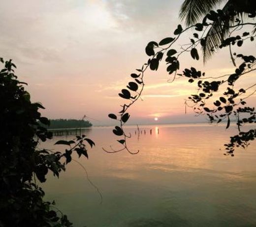 Ashirvad Homestay, Ashtamudi Lake, Kollam NON AC