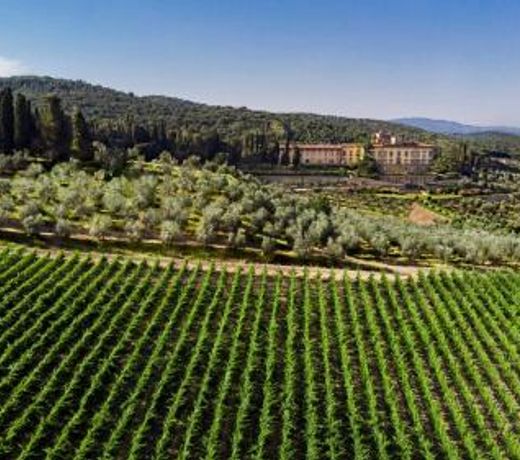 Torre a Cona Wine Estate