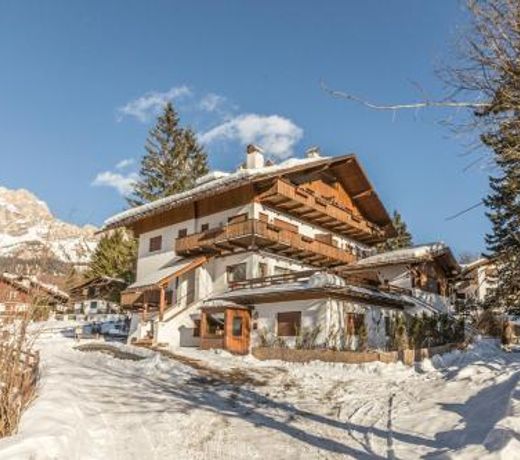 Cantore, Cortina