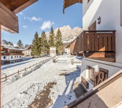 Cantore, Cortina