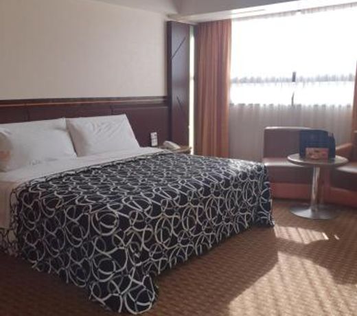 HOTEL VALLE DEL SUR