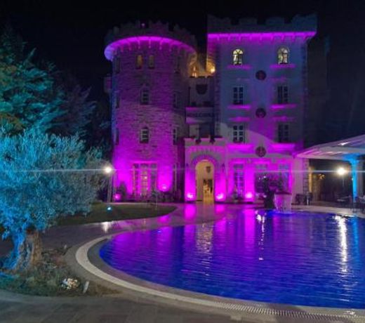 Castle Konti