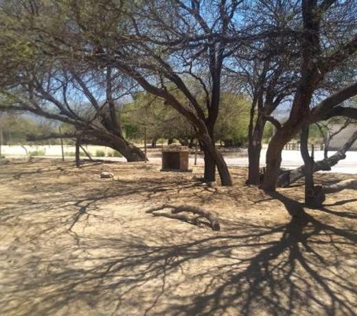 Camping agreste El Algarrobo de Quilmes