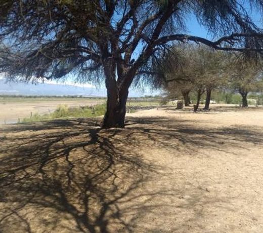 Camping agreste El Algarrobo de Quilmes