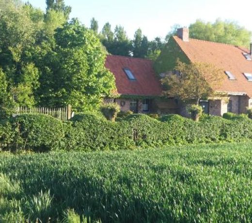 B&B Dons en Flanel