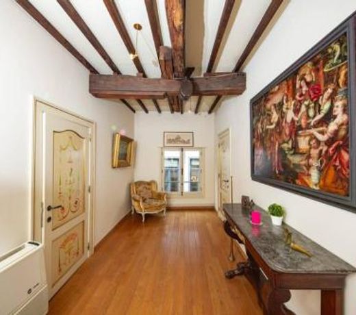 HOFMARKGRAAF - Unique apartment in historic Antwerp mansion