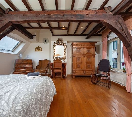 HOFMARKGRAAF - Unique apartment in historic Antwerp mansion