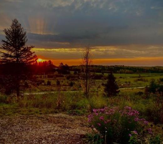 Top of Algonquin Bed and Breakfast