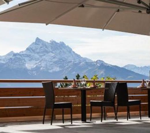 VIU Hotel Villars