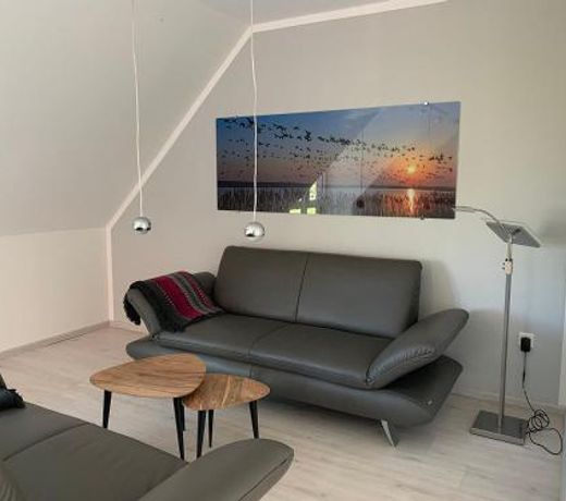 Vogelzug, Ferienwohnung fur 4 Persoen - Erwachsene oder Kinder - in DE FEERJENHUSEN am Haubarg von Vollerwiek, Fertigstellung April 2020