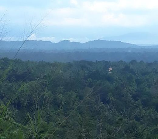 AMARA AYURVEDA RETREAT- Overlooking Evergreen Western Ghats an ecologically sustainable living space in Kovalam