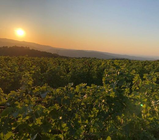 Dimora Le Colline