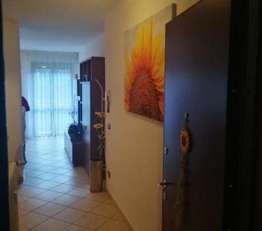 IL GIRASOLE