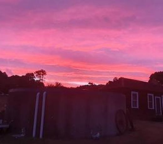 Ruby's Cottage Farm Stay