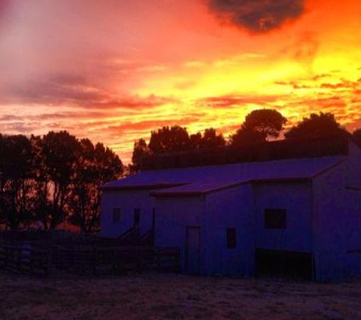 Beggs Farmstay B&B