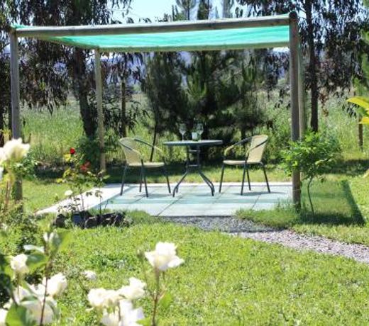 Campo Suizo