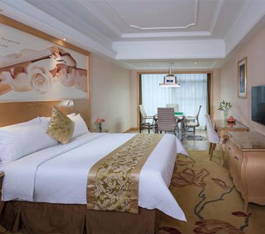 Vienna Hotel(Xiangtan Center Branch )