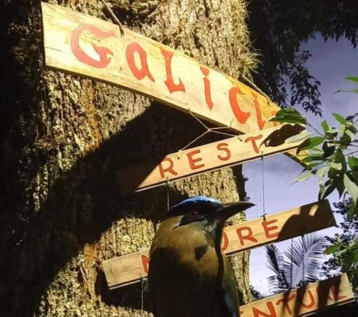 Compostela cabaÃ±a privada (private cabin for rent)