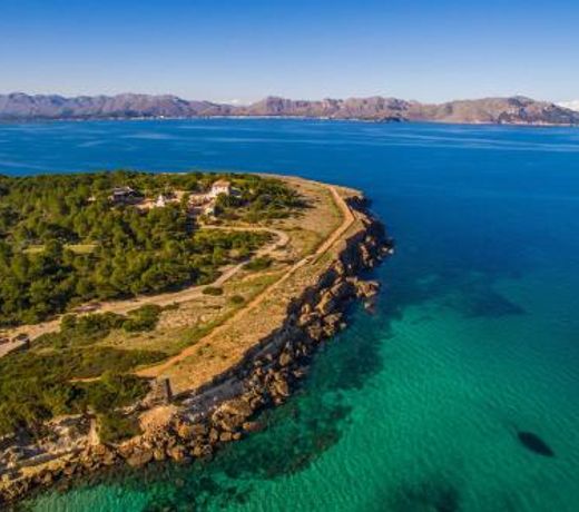 Ideal Property Mallorca - Olivera