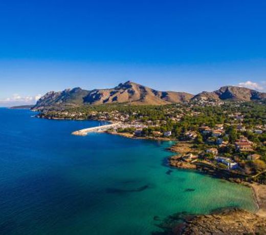 Ideal Property Mallorca - Olivera