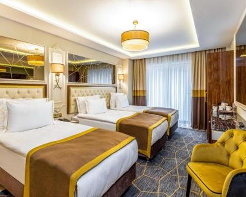 Beethoven Senfoni Hotel - Стамбул - фото 5