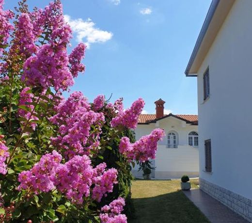 Holiday Apartment VILLA BIANCA