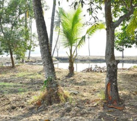 Cherai Blue Lagoons Villa