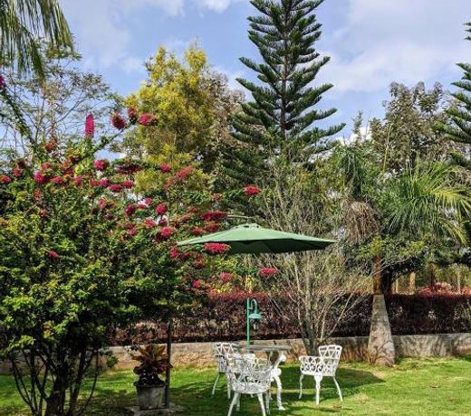 The Vintage Chikmagalur