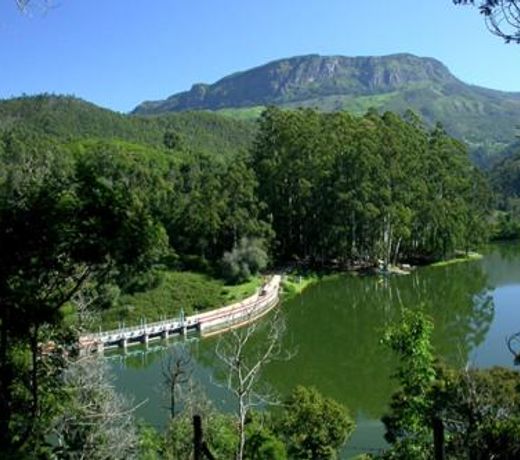 Lovely home stay Munnar