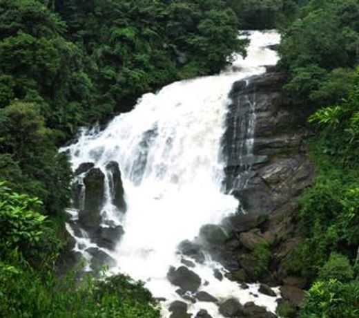 Lovely home stay Munnar