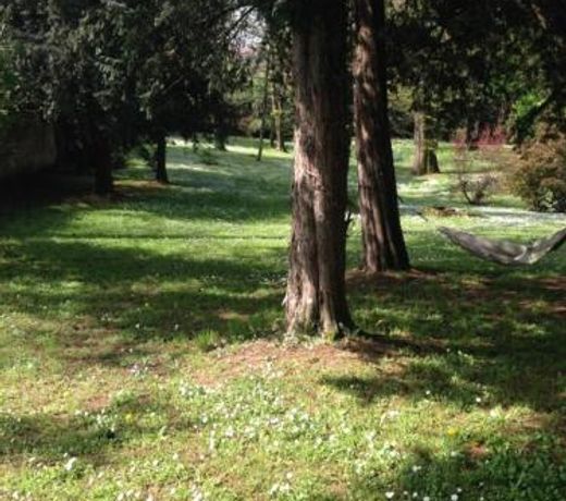 La Stanza nel Bosco