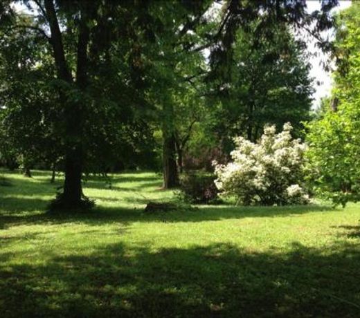La Stanza nel Bosco