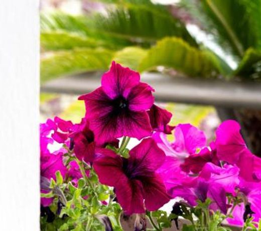 B&B Meraviglie D'Abruzzo Montesilvano