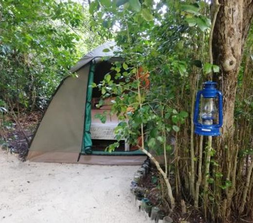 Bamba Kofi Tented Camp