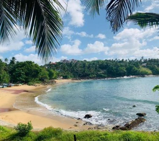 Surf Paradise