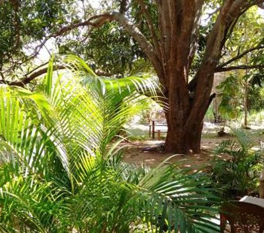 Hotel Sigiri Nature Garden