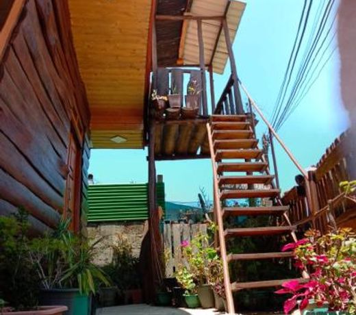 20/20 wood cabana