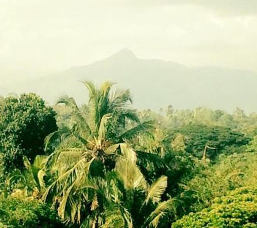 Sura Homestay Kandy