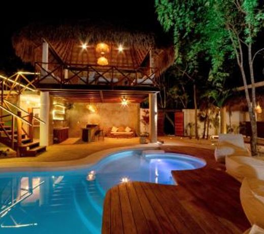Mimosa Tulum