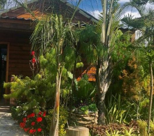 Cabañas la finca 2