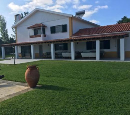 Quinta Turki Malika