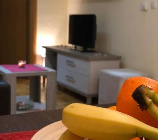 Tina Apartman Zlatibor