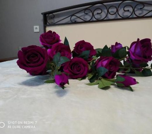 Ð¦Ð¸ÑÐ°Ð´ÐµÐ»Ñ Ð½Ð° Ð°ÑÑÐ¸ÑÐµÐºÑÐ¾ÑÐ¾Ð² 17 Ð»ÑÐºÑ