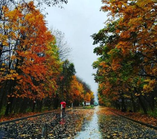 ÐÐÐÐ Ð¢ÐÐ Ð-LUX Ð² ÑÐµÐ½ÑÑÐµ Ð³Ð¾ÑÐ¾Ð´Ð°, ÑÐ»Ð¸ÑÐ° Ð¡ÐµÐ¼ÐµÐ½Ð¾Ð²Ð°, 37