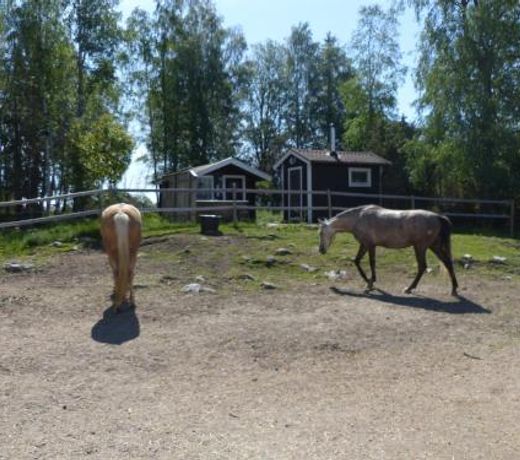 Rotbrunna Hast & Kursgard