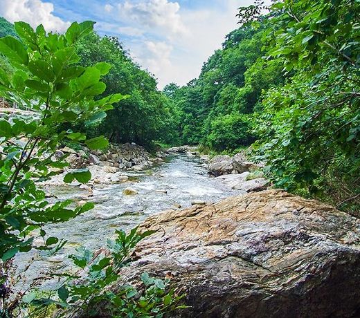 Jecheon Sopungganeunnal Pension